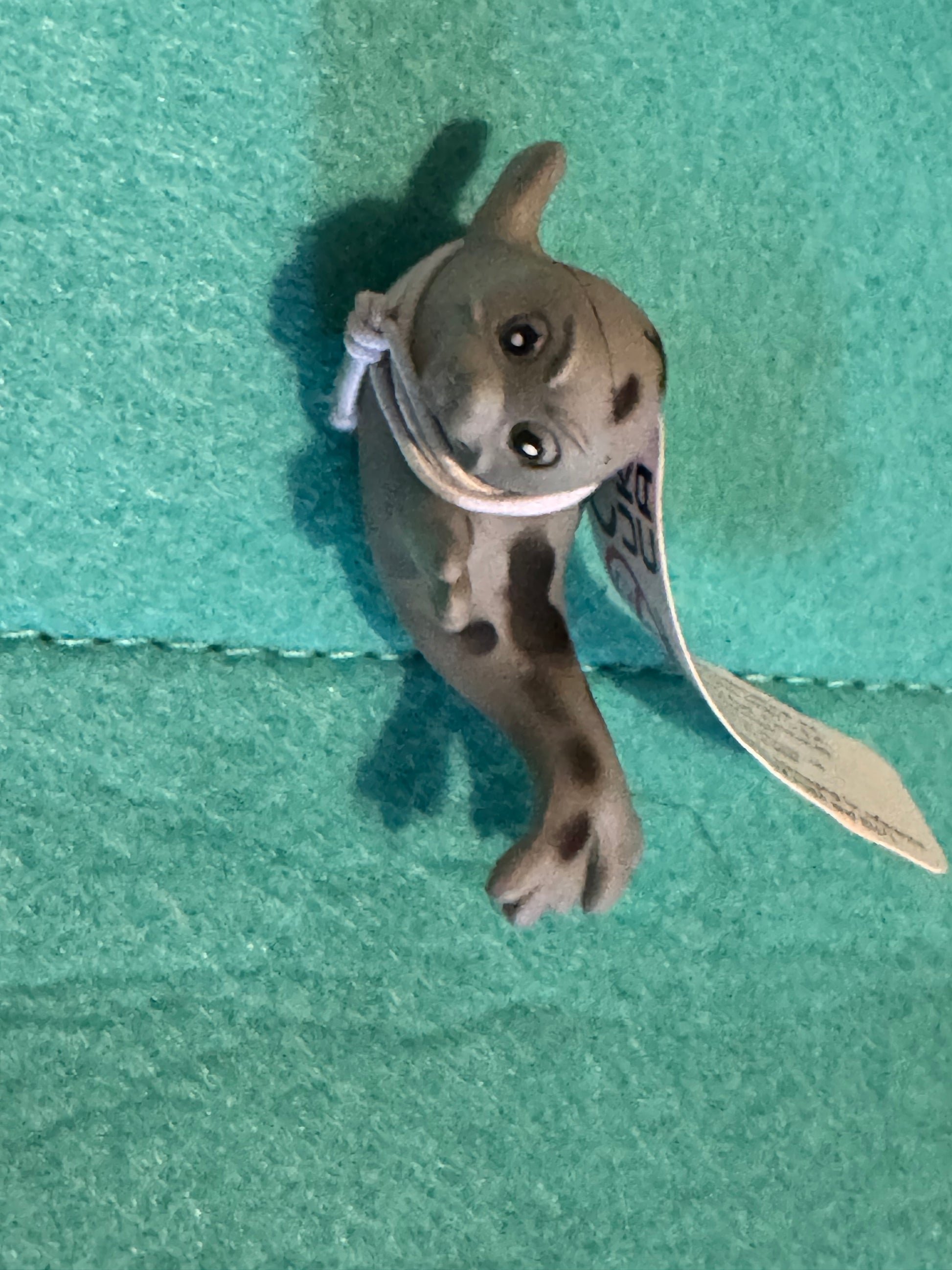 Sea life Creatures